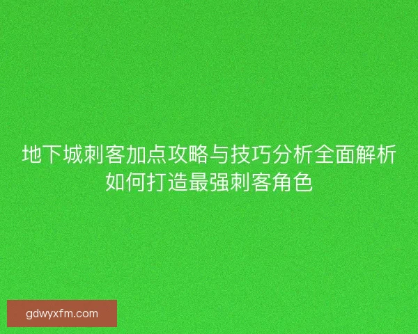 地下城刺客加点攻略与技巧分析全面解析如何打造最强刺客角色